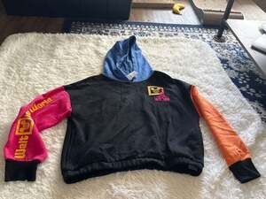 Walt Disney World Color Block Cropped Hoodie